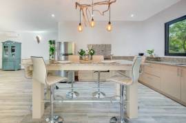 V-Jungla Cecile Refundores: Spacious Modern Villa with Pool, Guest House & Tropical Garden Near Tamarindo Beach