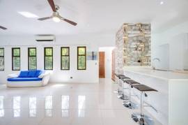 V-Iguana Finca Panama: Large Property with Two Houses, Pool & Expansion Potential Near Tamarindo