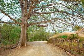 V-Iguana Finca Panama: Large Property with Two Houses, Pool & Expansion Potential Near Tamarindo