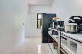 V-Iguana Finca Panama: Large Property with Two Houses, Pool & Expansion Potential Near Tamarindo