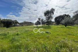 Land with 2440 m2 and approved project for detached house in Parceiros , Leiria.