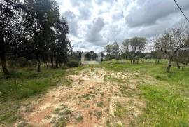 Land with 2440 m2 and approved project for detached house in Parceiros , Leiria.