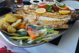 Restaurant Transference Restaurant Transference