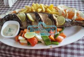 Restaurant Transference Restaurant Transference