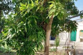 House with large plot in Costa Cunit
