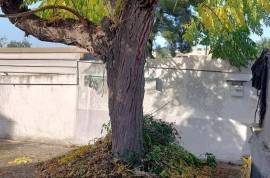 House with large plot in Costa Cunit
