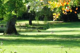 Luxury 9 Bed Estate For Sale In Adainville France