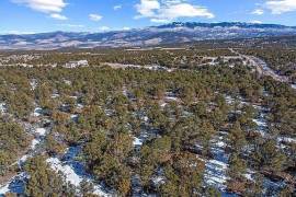 6 Plots of land for sale in Montrose Colorado United