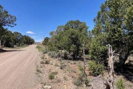 6 Plots of land for sale in Montrose Colorado United
