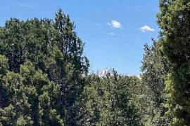 6 Plots of land for sale in Montrose Colorado United