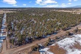 6 Plots of land for sale in Montrose Colorado United