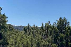 6 Plots of land for sale in Montrose Colorado United