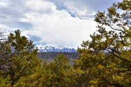 6 Plots of land for sale in Montrose Colorado United