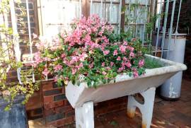 Stunning 3 Bedroom House & Cottage For Sale in Scottburgh South