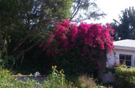 Excellent 3 bed House For Sale Sanibel Island