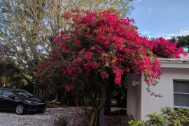 Excellent 3 bed House For Sale Sanibel Island