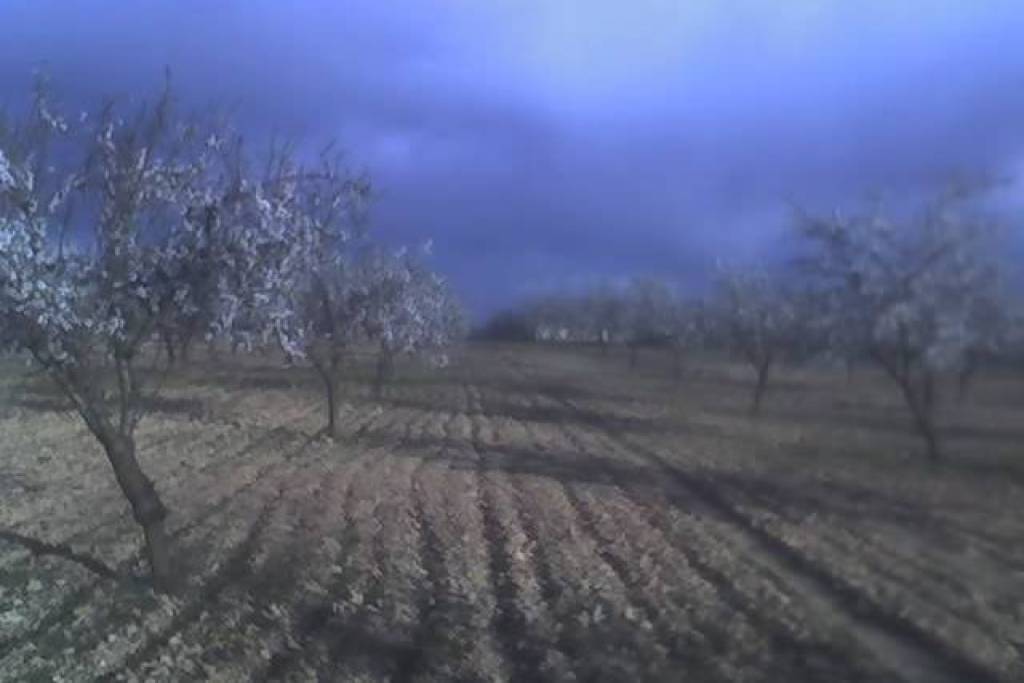 Excellent Plot of land for sale in Yelca Murcia