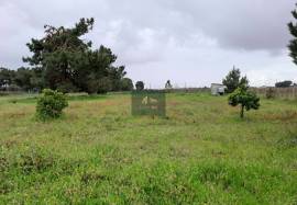 Flat 6,000 m² Plot for Sale in Palmela Flat 6,000 m² Plot for Sale in Palmela