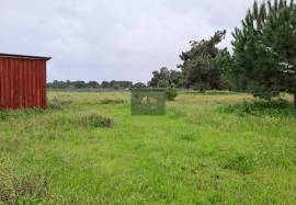 Flat 6,000 m² Plot for Sale in Palmela Flat 6,000 m² Plot for Sale in Palmela