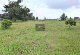 Flat 6,000 m² Plot for Sale in Palmela Flat 6,000 m² Plot for Sale in Palmela