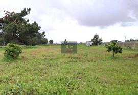 Flat 6,000 m² Plot for Sale in Palmela