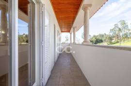 Detached House T4 in Gavião with 1000m2 of land