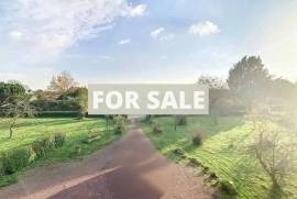 Property For Sale