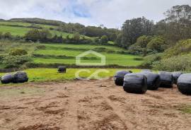 Rustic land Rustic land