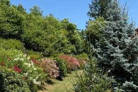 Luxury Stone 4 Bed House for Sale In Talla Casentino Tuscany Arezzo Italy