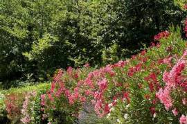Luxury Stone 4 Bed House for Sale In Talla Casentino Tuscany Arezzo Italy