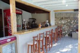 Luxury Villa Pappas For sale in Skiathos Greek Islands