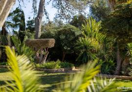Unique Algarve Country Villa