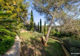 Unique Algarve Country Villa