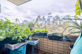 1+1 Bedroom Apartment in Calendar