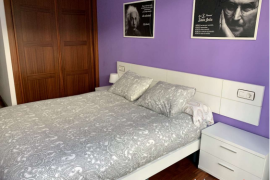 Apartment for rent in Bilbao for single months