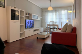 Apartment for rent in Bilbao for single months