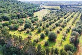 Terreni edificabili in vendita a Tottubella – tra Alghero e Sassari