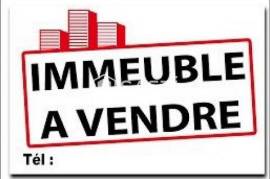 IMMEUBLE DE RAPPORT ENTIÈREMENT LOUE
