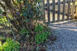 Longère de charme exposée sud.