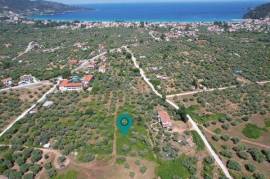 Agricultural 780 sq.m.