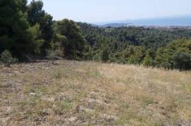 For Sale Land in Sithonia, Chalkidiki