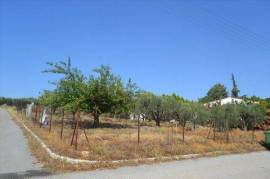 For Sale Land 740 m² in Chalkidiki