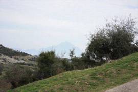 For Sale Land 500 m² in Kriaritsi
