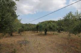 For Sale Land 726 m² in Sithonia, Chalkidiki