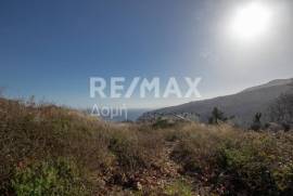 Plot 2000 sq.m for sale