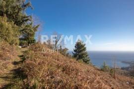 Plot 2000 sq.m for sale