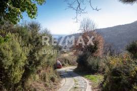 Plot 2000 sq.m for sale