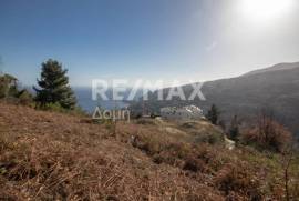 Plot 2000 sq.m for sale