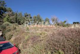 Plot 2000 sq.m for sale