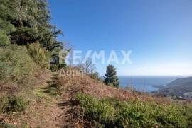 Plot 2000 sq.m for sale